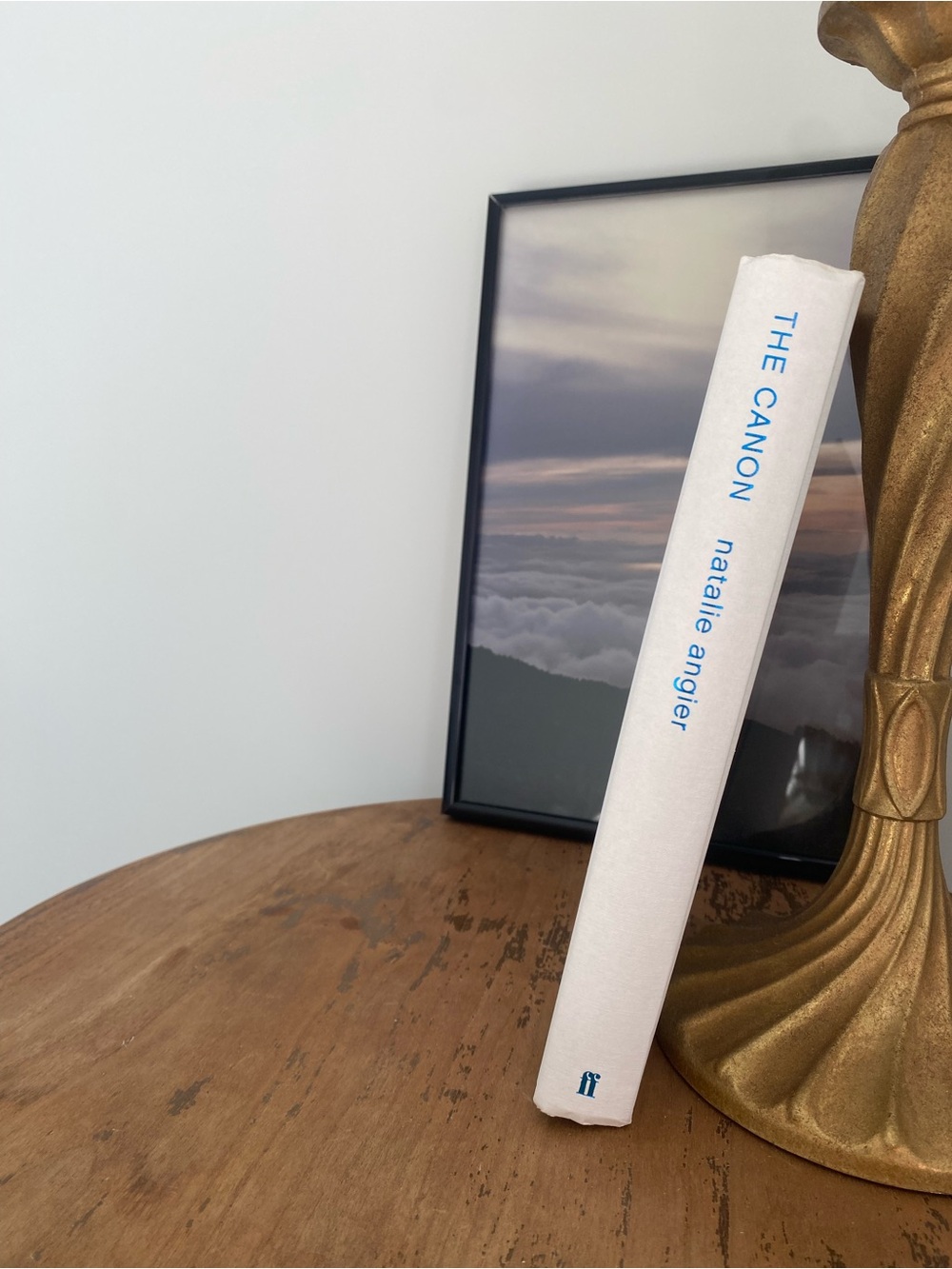 The Canon by Natalie Angier - Blue Hardcover Science Book